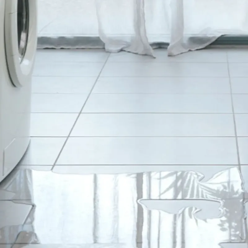 Appliance Leak Cleanup in Van Wert County, OH
