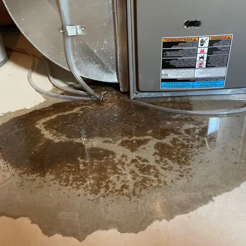 Pipe Burst and Leak Restoration in Van Wert County, OH