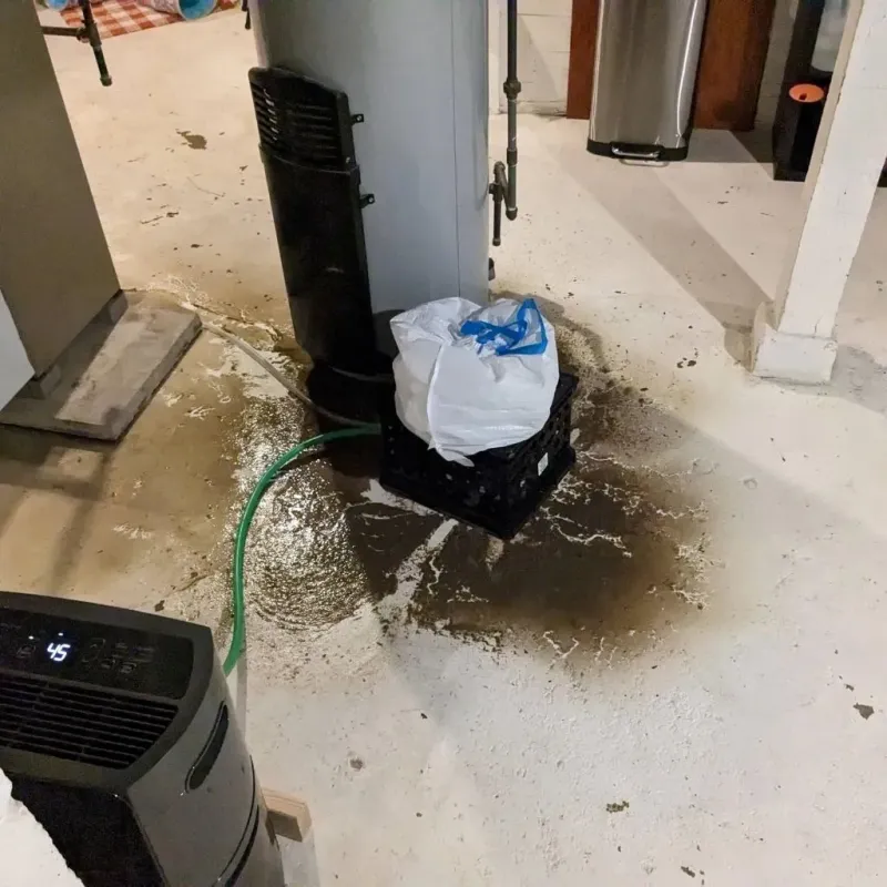Sewage Backup Cleanup Service in Van Wert County, OH